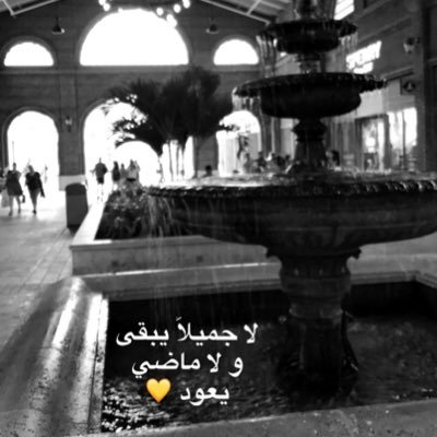 s3eed_alma's profile picture. لا إله إلا أنت سبحانك إني كنت من الظالمين