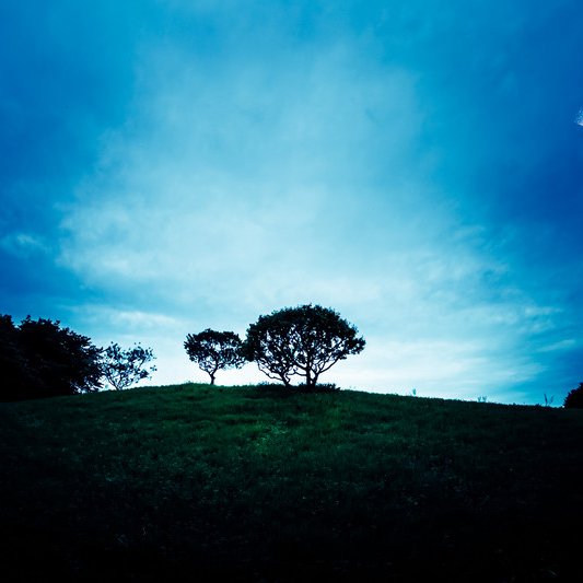 hikari12i's profile picture. 新型コロちゃんのすさまじい感染力に驚愕。医療崩壊するから自宅療養しろって言うけどあの感染力だと同居の家族や一人暮らしの食料調達に来られたコンビニ店員が全滅しないんだろうか。（汗