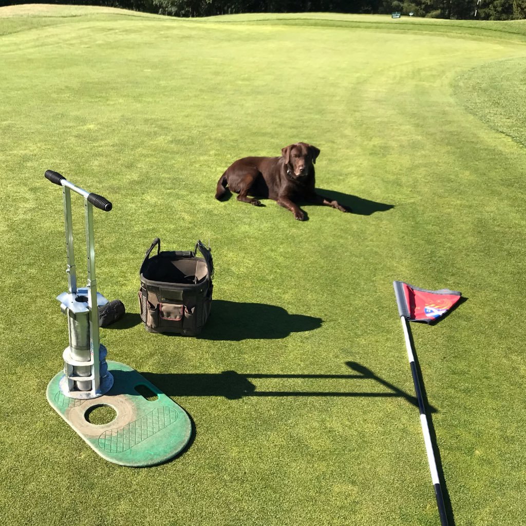 Course Manager @TheBradfordGC Husband to Vick, Dad of 2 boys Seth & Lewis not to forget Rolo the chocolate Labrador.