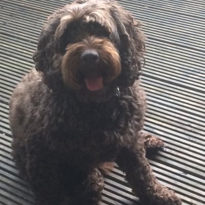 Tracey00555255's profile picture. 