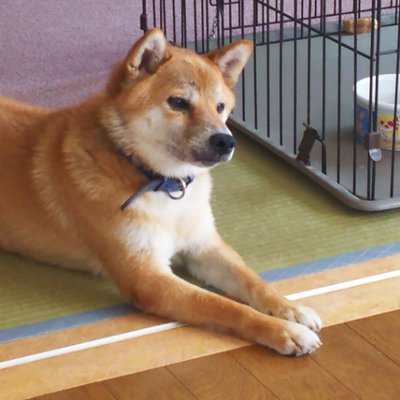 佐川田宏美 No Twitter スマホの壁紙を中村佑介さんのこのイラストに変えました アジカンの ソルファ のジャケットで初めて見て以来 ずっと中村さんの作品のファンです 中村佑介 壁紙
