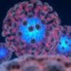 kilin_vr's profile picture. 