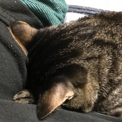 poihuru's profile picture. BOR2023 ベ16/バトスピ3on3 べ8のヤニカフェ中毒末期患者