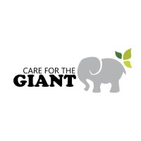 Care for the Giant(@Care4theGiant) 's Twitter Profile Photo