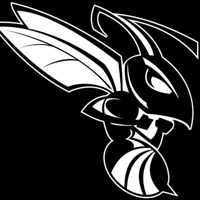 Hawthorne Hornets Coach 🏅🏅 🏅 🏅 🥇🥇 2023 & 2024 Girls Basketball 2022 2023 Football 2020 1A Girls & Boys Basketball State Champions