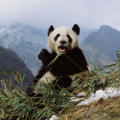 dacfam95's profile picture. Just tryna eat