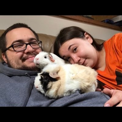Profile Picture of PiggyPals (@PiggyPals) on Twitter