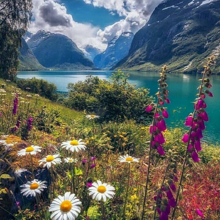 KyawZaw84061722's profile picture. 