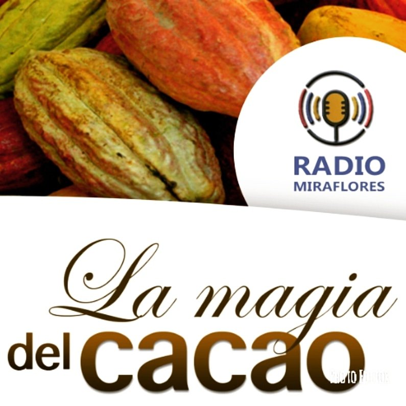 magiadelcacao's profile picture. 