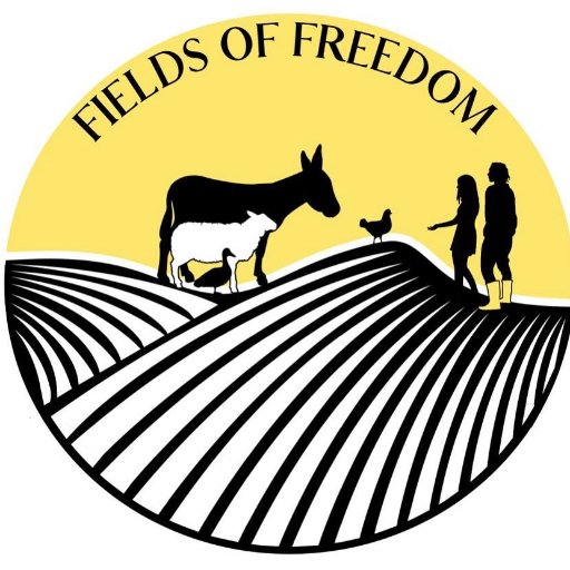 Farm Sanctuary for abused animals headed for the slaughterhouse🌿🐱🐶🐴🐔🐄🐮🐑 🐷🌿 💕Be a part of Fields of Freedom💕 Click on the link and see how❗️