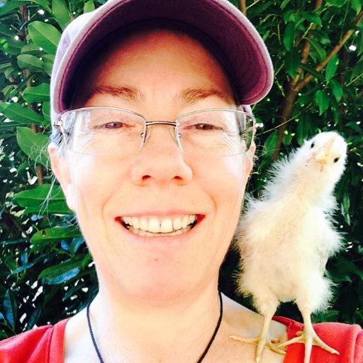 From Seattle. I do like raising chickens.  See that little guy on my shoulder? He imprinted on me. RESIST, PERSIST! No DM.