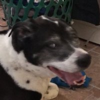 Sorrow (@x3sorrow) 's Twitter Profile