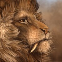 Xylax (@mrxylax) 's Twitter Profile Photo Xylax (@mrxylax) 's Twitter Profile Photo