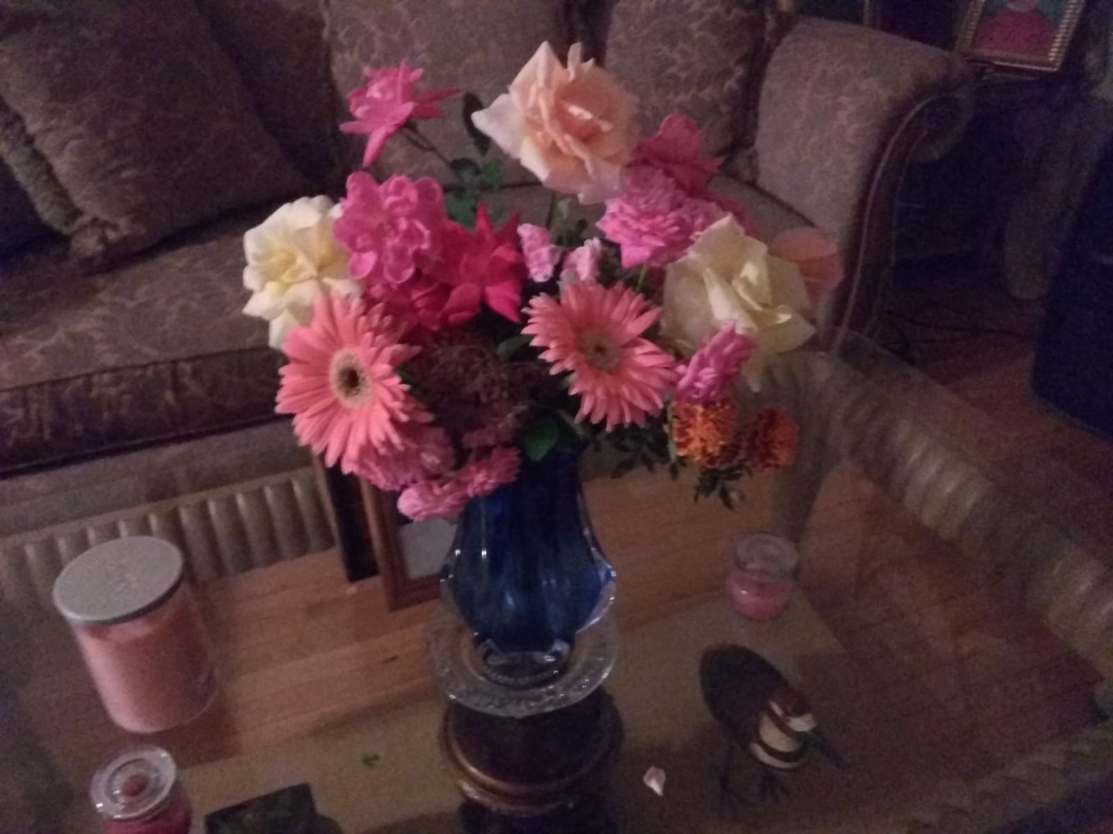 JohannaAvilaC's profile picture. 