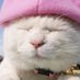 king工 (@wanggongcheng) Twitter profile photo king工 (@wanggongcheng) Twitter profile photo
