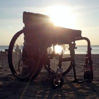 ♿🇨🇳🇨🇦🦇Disabled Pracademic 🦇🇨🇦🇨🇳♿ (@disableacademic) 's Twitter Profile