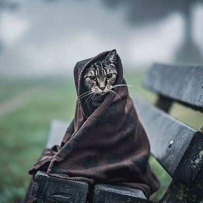 Humam_Alharth's profile picture. ‏⚫ المايعرف الصگر يشويه ..
 اصدق الاسماء حارث وهمام ..🔸️