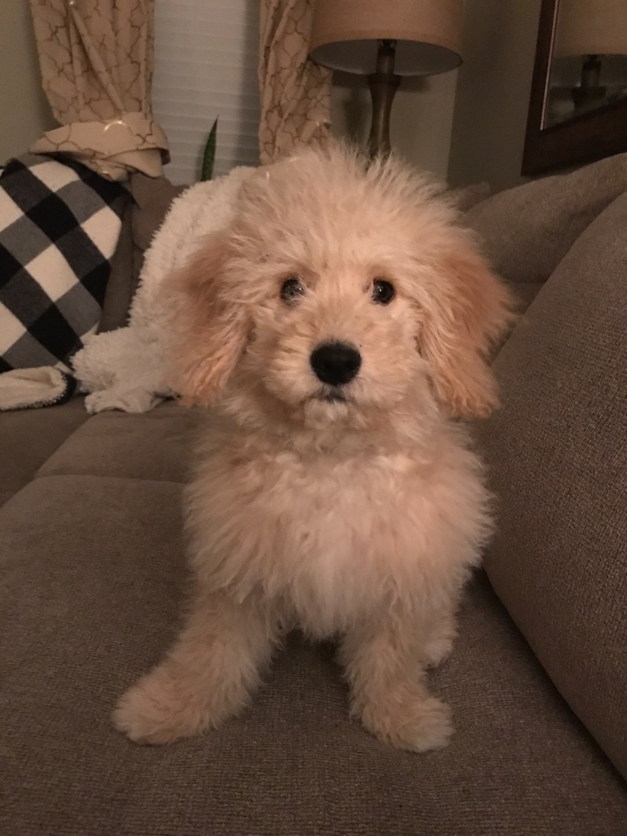 AKnott14's profile picture. 