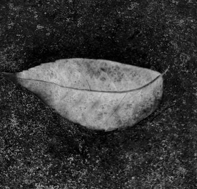 Gibson49948076's profile picture. Ser lo más sincero posible con los demás  y sobre todo conmigo.