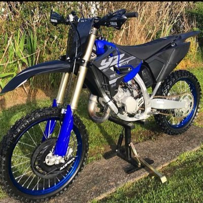 xRaiZyyy's profile picture. 