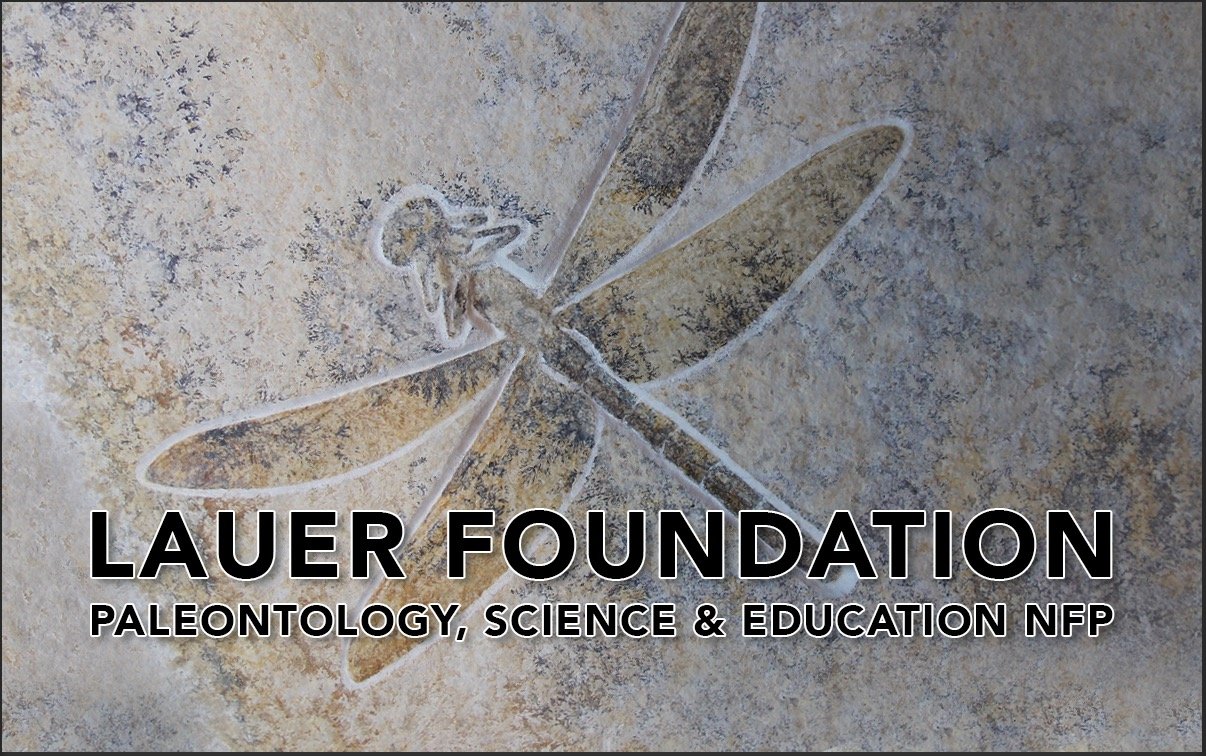 Lauer Foundation for Paleontology, Science and Education NFP curates a collection of fossils, collaborates with scientists/museums and  outreach programs.