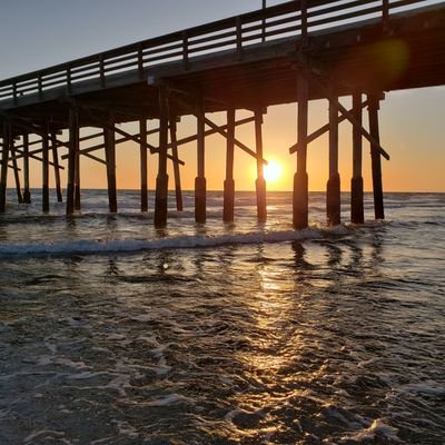 paulaspastime's profile picture. Promote Happiness / Reduce Suffering but also, impeachment 😬😁