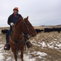 Grant Lastiwka (@glastiwka) 's Twitter Profile