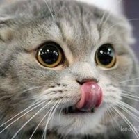 Amatör Paylaşımlar (@turk32990831) 's Twitter Profile