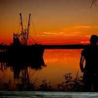 Quill61 (@quillwalter) 's Twitter Profile