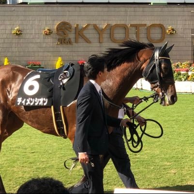一口馬主が日々の活力! 広尾サラブレッド倶楽部は旧サウスニア時代のウェルシュステラから、キャロットクラブは2015年産のレノヴァールとディライトプロミスからスタートしました。どうぞよしなに(*'ω'*)