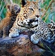 parks121144's profile picture. 