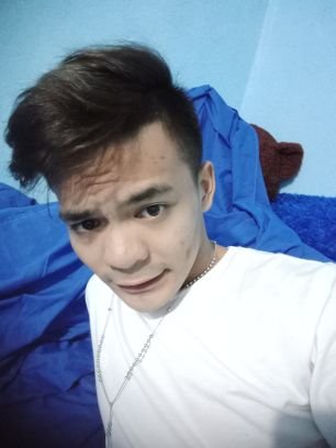 Paul18531635's profile picture. Dog Lover