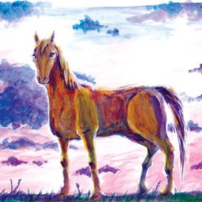 サムライドライマルさんのプロフィール画像