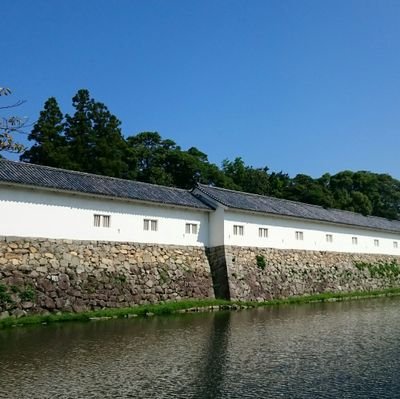 yoshi_jerk's profile picture. 紆余曲折