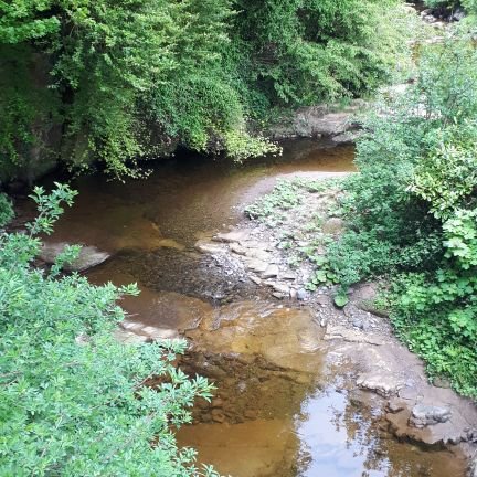 Catchment Scientist working in the Midlands & Eastern Region. Views my own.