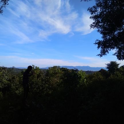 AthulpSuresh's profile picture. 