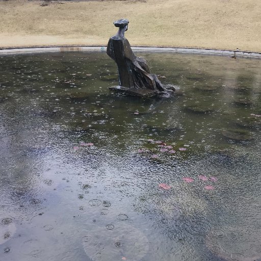 shirokurarie's profile picture. 白倉利恵／写真家／TAU GD／インスタhttps://t.co/Vbp7wsue4F