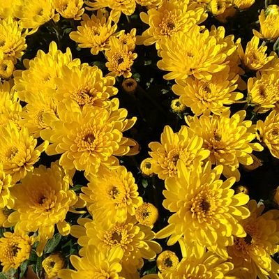 EduardMartinezG's profile picture. ara també (i potser en breus només) a Mastodon https://t.co/4OY3n6RGfn