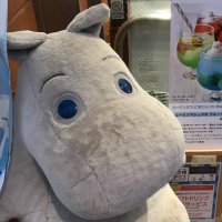 はっち (@tako8hc8) 's Twitter Profile Photo はっち (@tako8hc8) 's Twitter Profile Photo