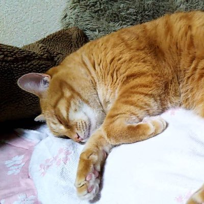 24歳趣味は打つことです笑 転職により千葉の柏方面に引っ越します!無言フォローOKです🙆皆さんと色々仲良く出来たら嬉しいです!よろしくお願いします_(:3 」∠)_ 演者さんに会いに行けておらず泣♪笑笑マイホ探り中!アリーナ柏が気になってるこの頃PS4dbdやり込み中です!やってる方いたらよろしくどーぞ( ^ω^ )