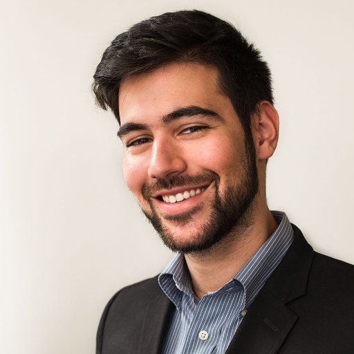 Software developer focusing on AI and reinforcement learning