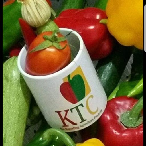 KTC We are KTC Agriculture Company, based in Itay Al Barod, Beheira, Egypt. We specialize in exporting high quality Fresh fruit