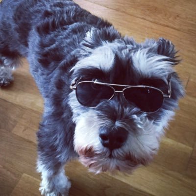 MurrAFC's profile picture. Official twitter profile of some guy from Belfast