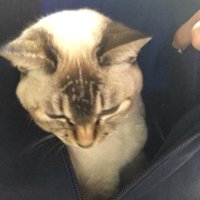 ひでと (@taso10178) 's Twitter Profile