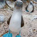 David Balencia - @DavidBalencia - Twitter