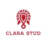 Clara Stud(@ClaraStud) 's Twitter Profile Photo