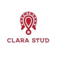 Clara Stud (@clarastud) 's Twitter Profile