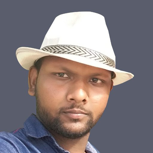 Professional Graphic Designer ( Specialist in Logo & Branding )