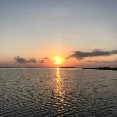 tiffanilyn2's profile picture. Classic Rock Books Movies Food Travel Music