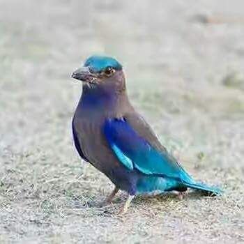 namanja24213022's profile picture. 